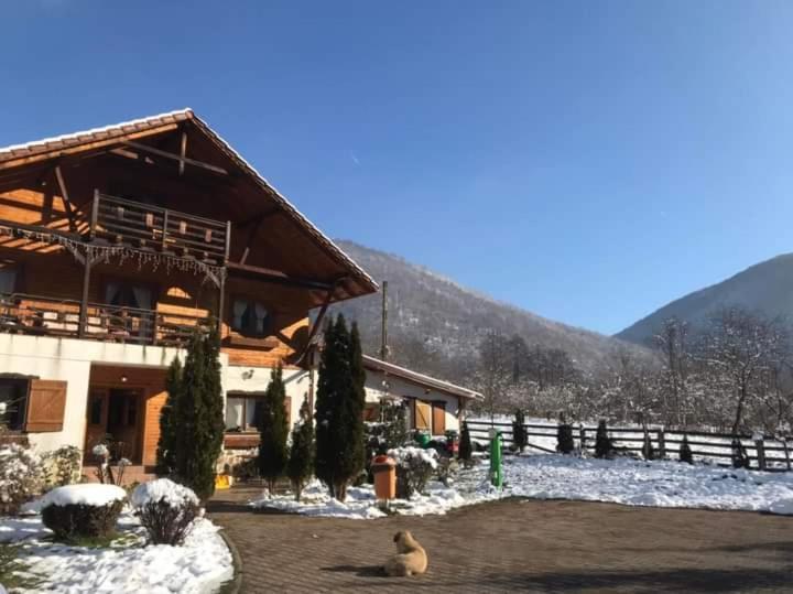 Gasthaus Maria Borlova Exterior photo